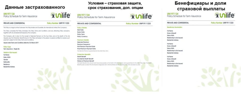 Как выглядит полис страхования жизни компании Unilife